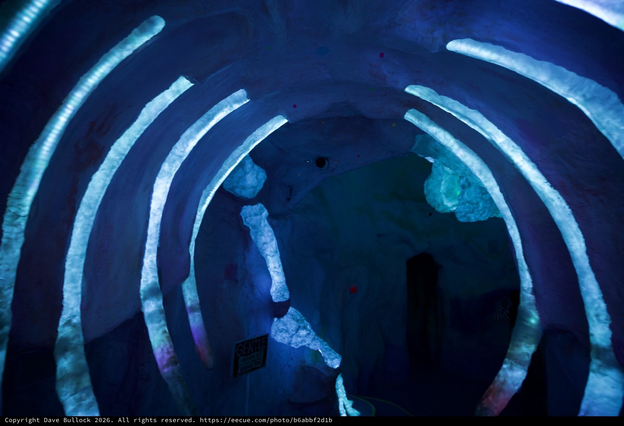 Immersive Blue Light Installation with Concentric Arcs