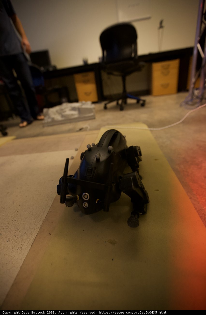The Human and the Robot on the Hardwood Floor
