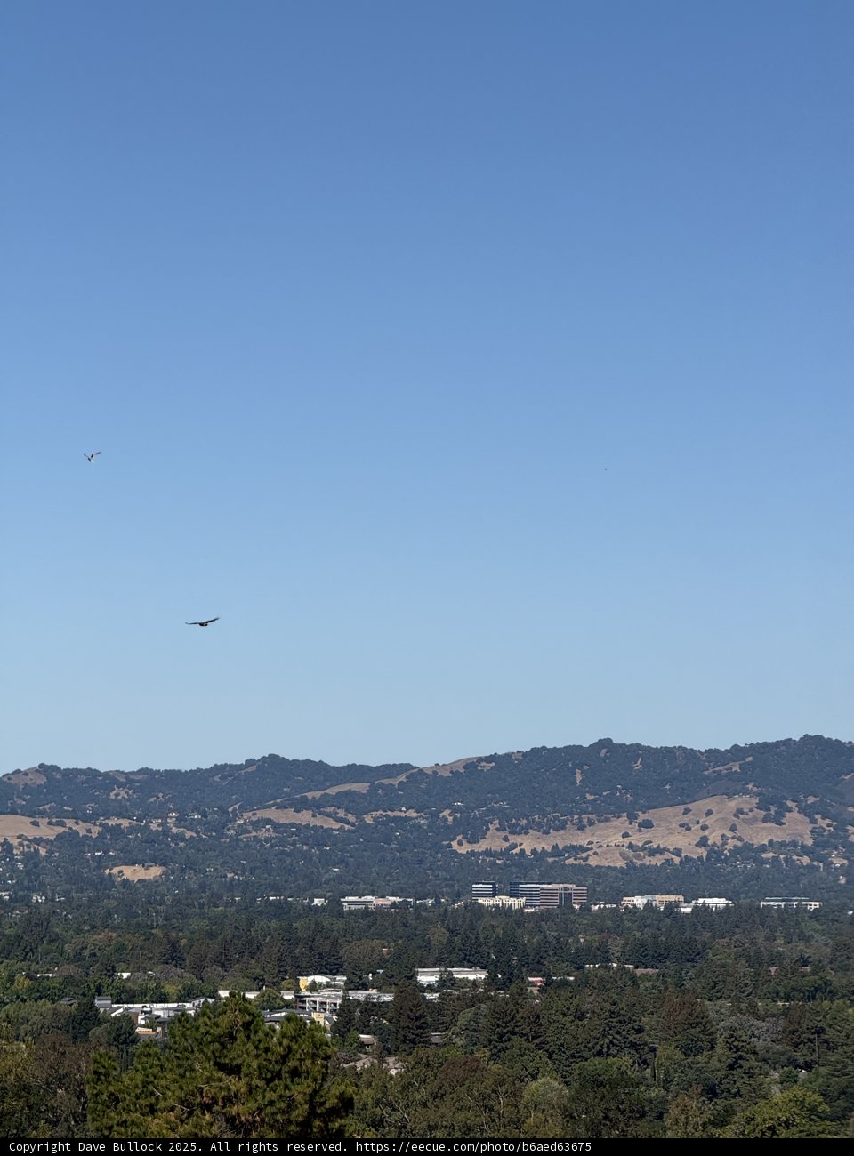 Skies of Lime Ridge: A Harmony of Nature and Cityscape