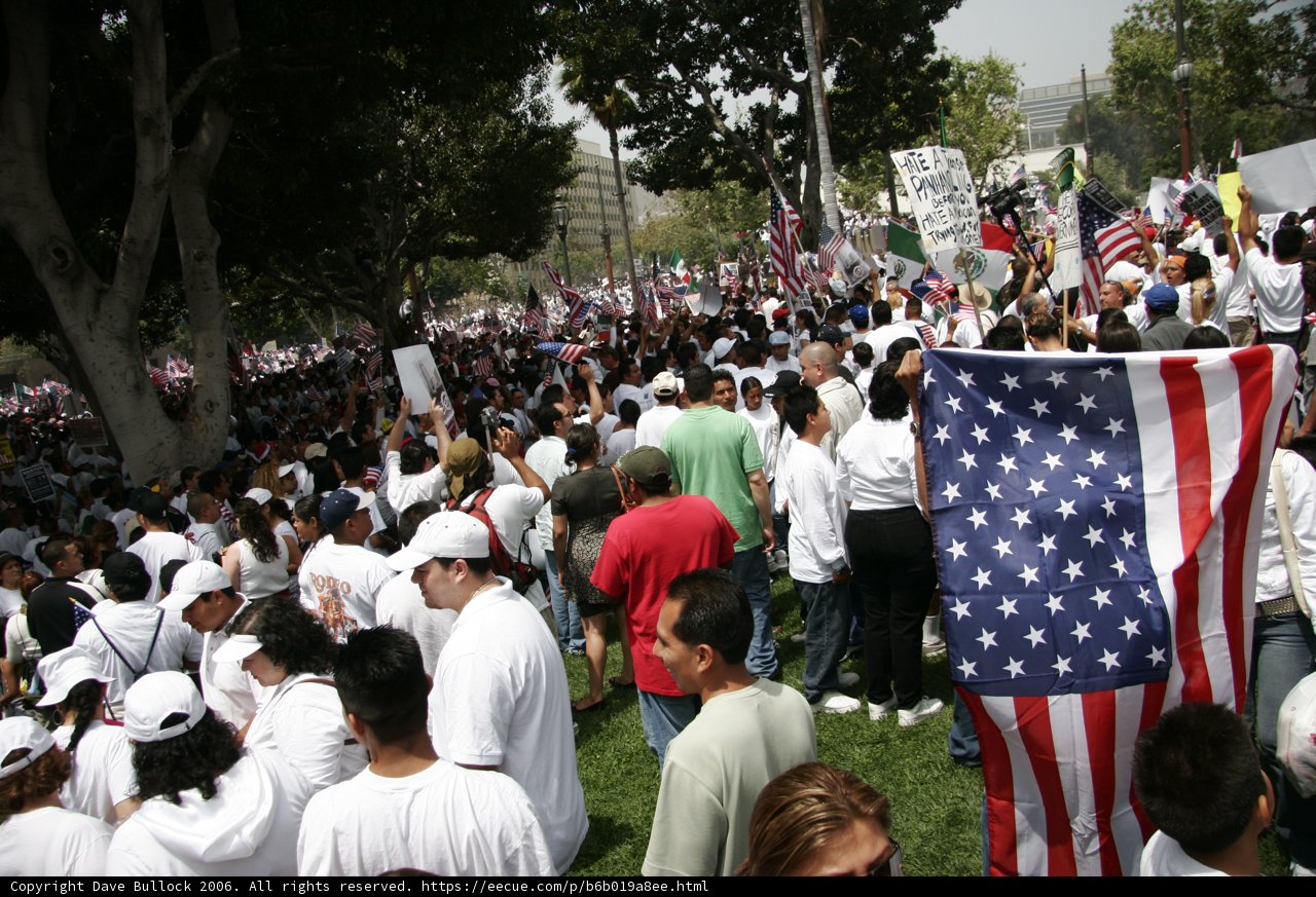 Patriotic Crowd