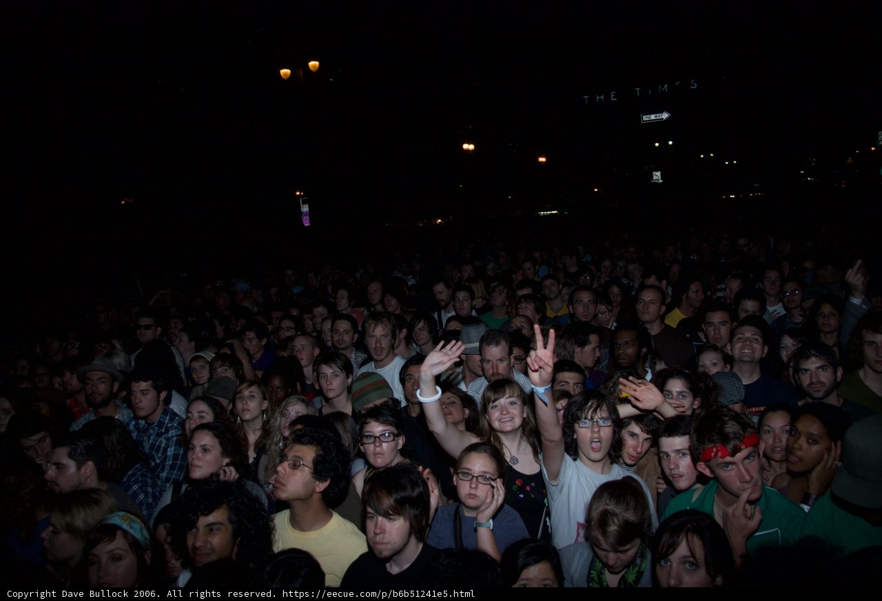 Nighttime Concert Crowd