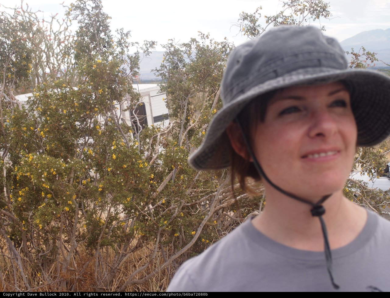 Desert Hiker Smiling Amid Blooming Chaparral Shrubs