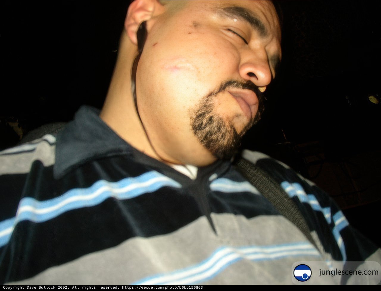 The Bearded Blue Shirted Man
