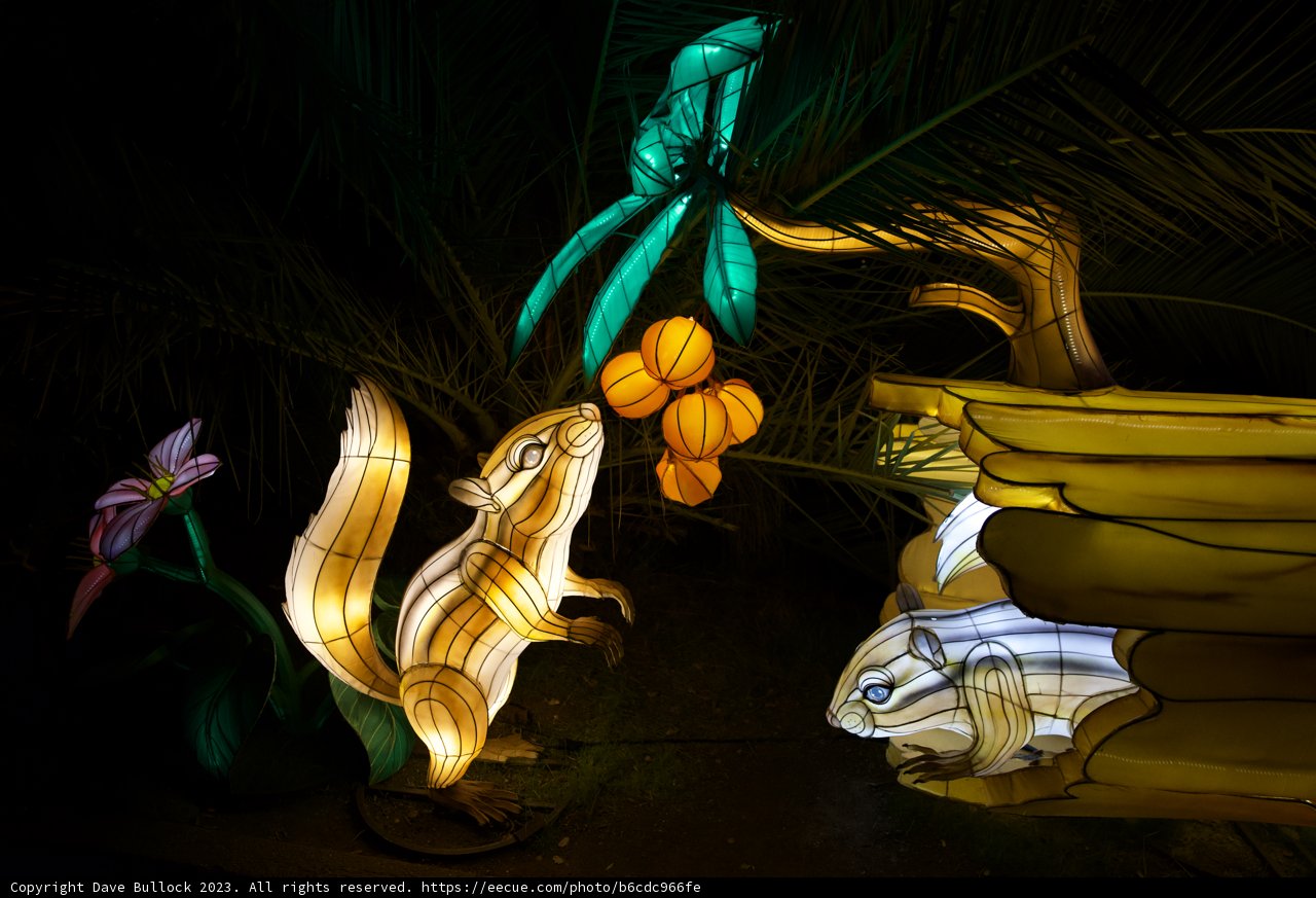 Luminescent Companions at Glowfari Oakland Zoo