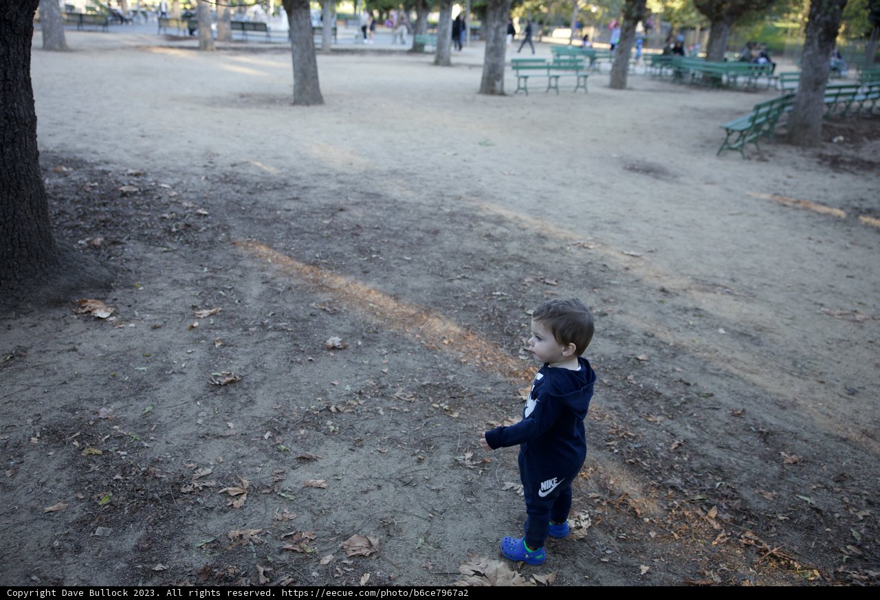 A Day in the Park