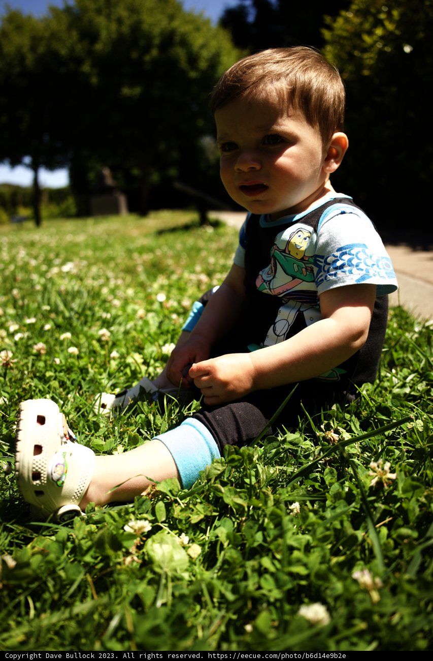 Innocence in the Grass: Summer Playtime