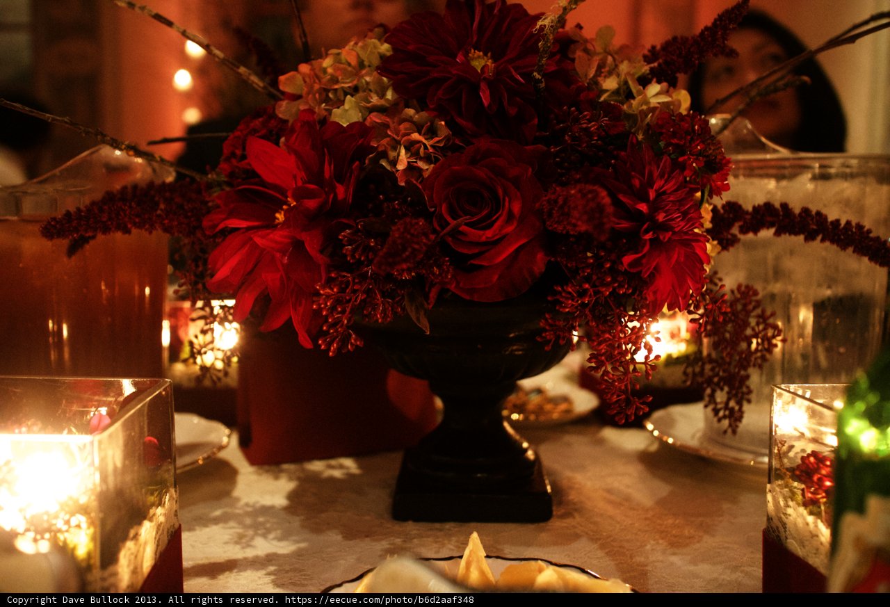 Red Blooms in a Contemporary Vase