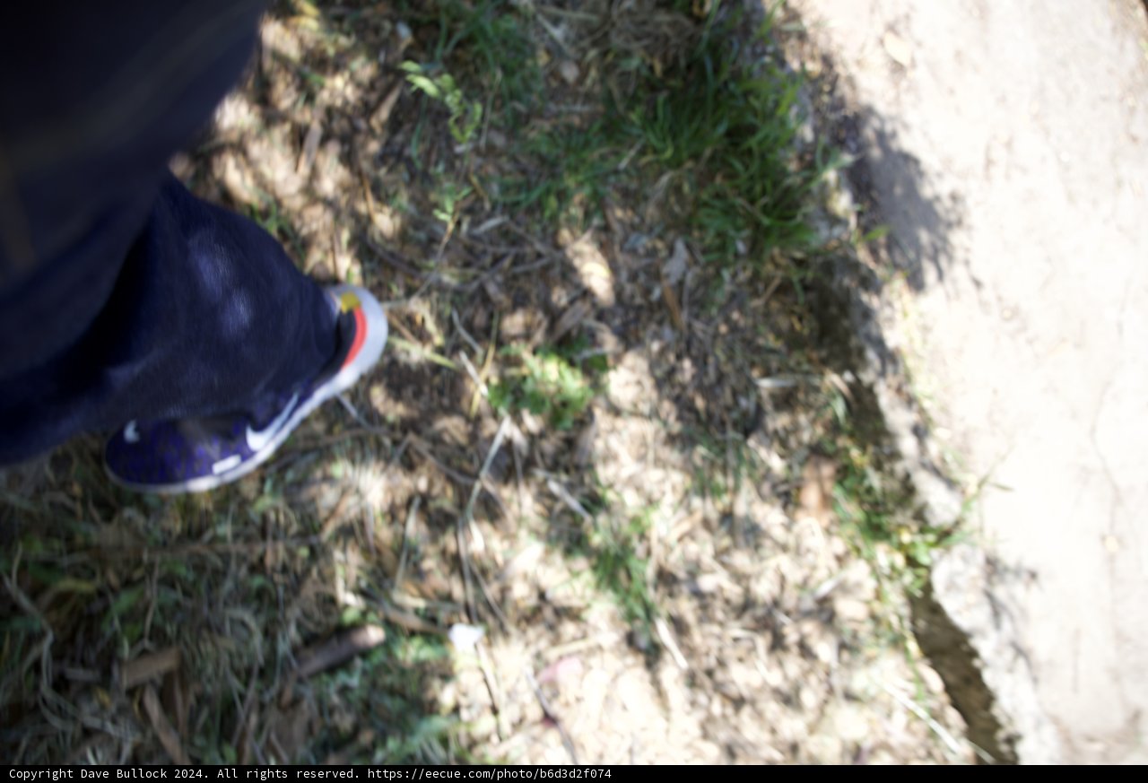 Steps on Earth: A Child's Journey