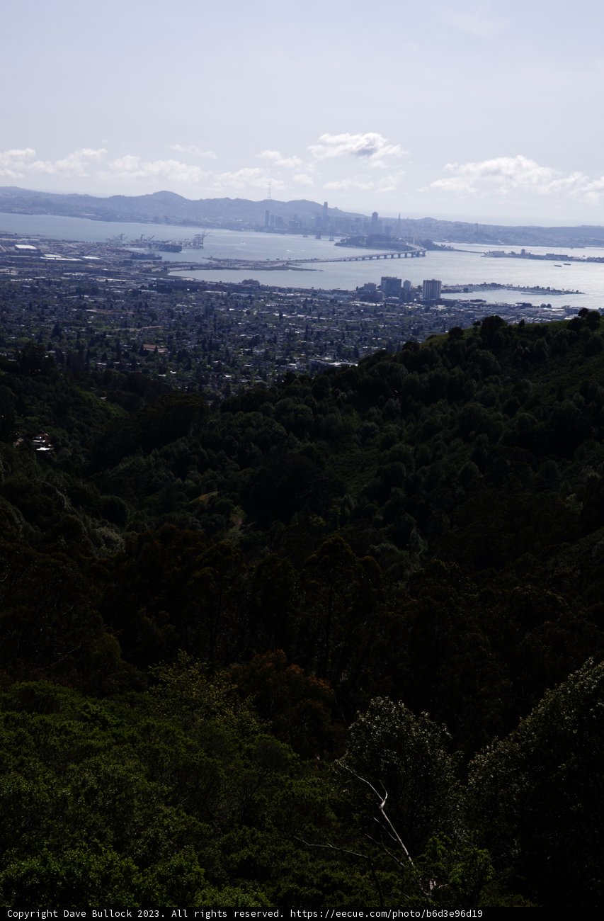 Soaring High in the Berkeley Skies