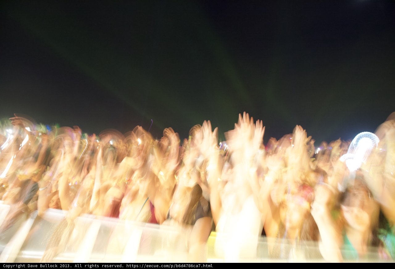 The Wild Crowd at Coachella Concert