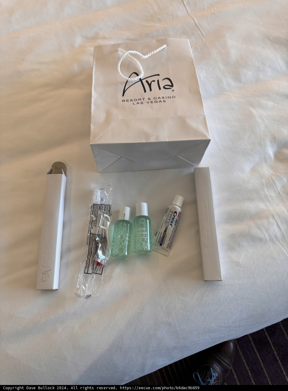 A Glimpse Inside: Aria Resort Essentials