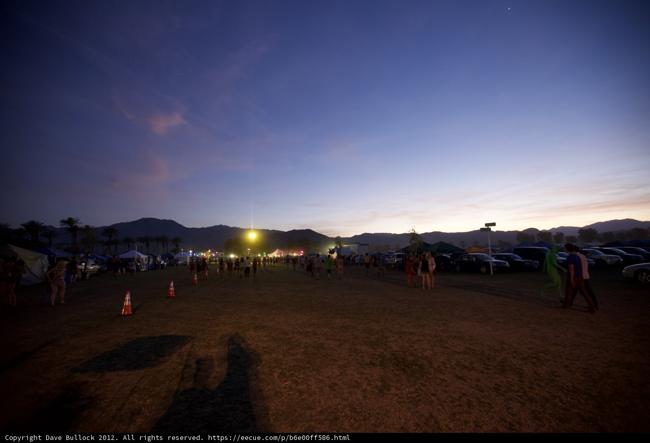 Dusk Gathering