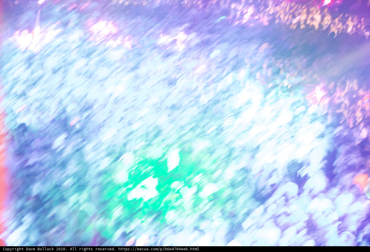 The Glittering Crowd at Coachella