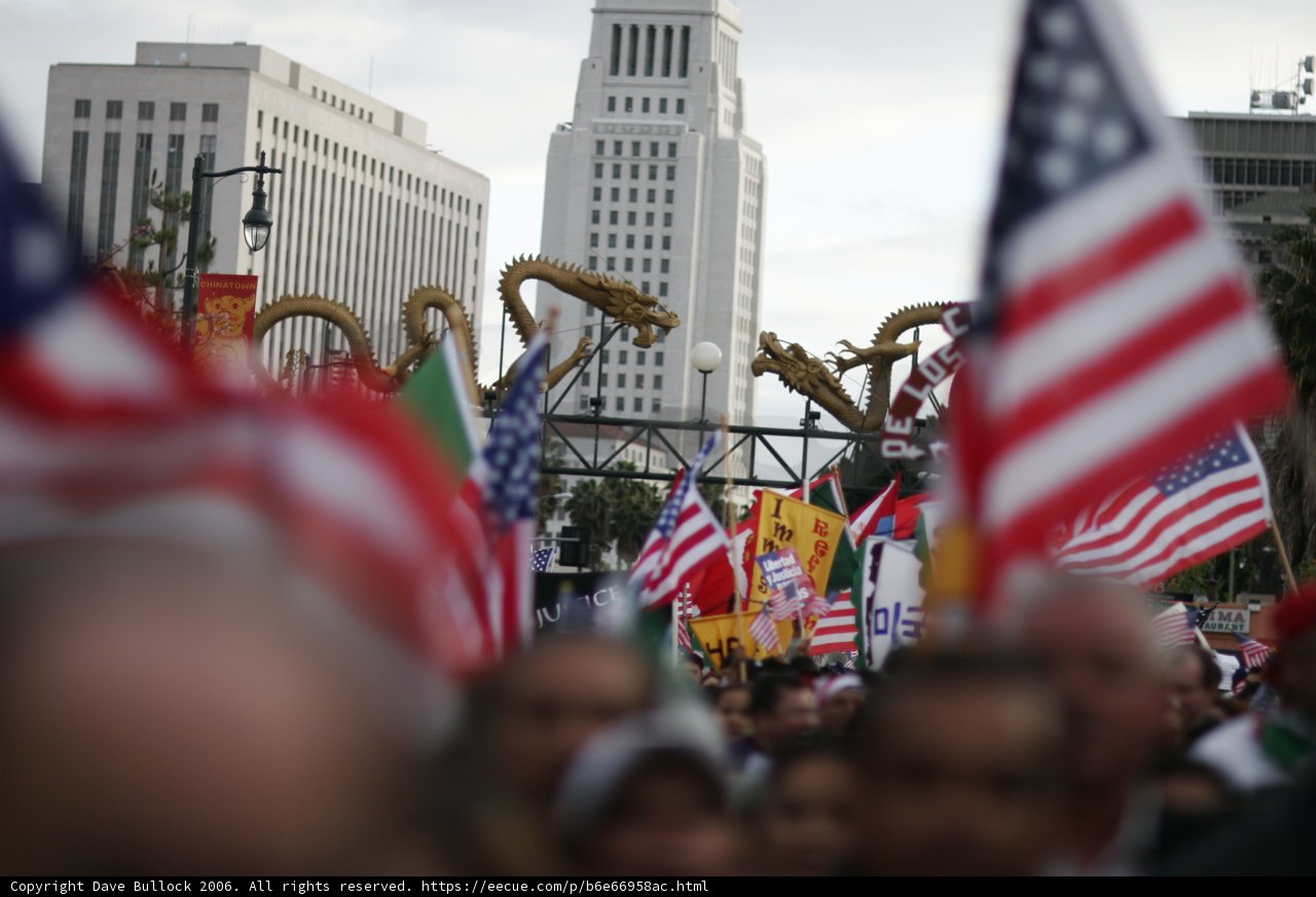 Patriotic Crowd