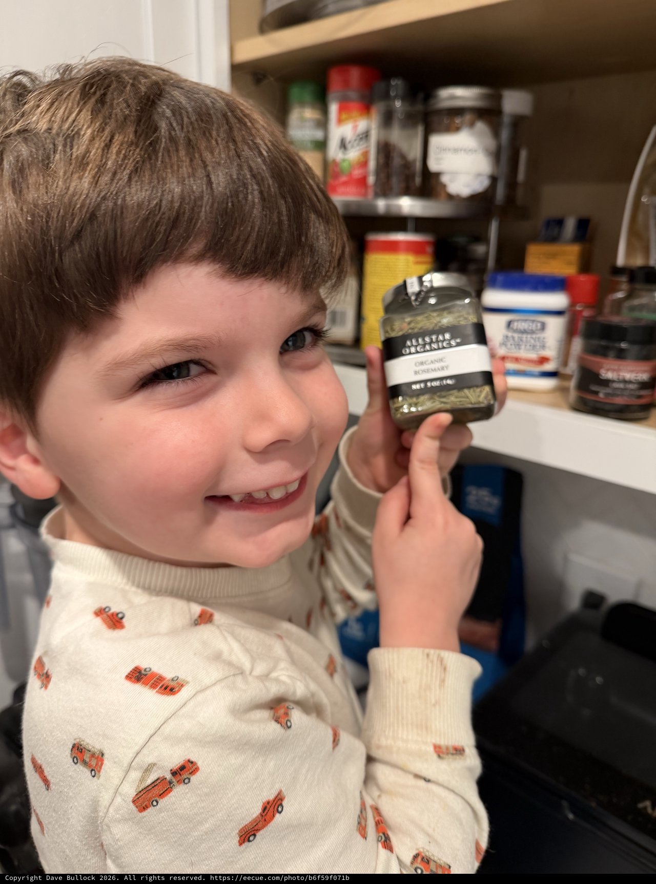 Young Boy Holding Organic Rosemary in Kitchen