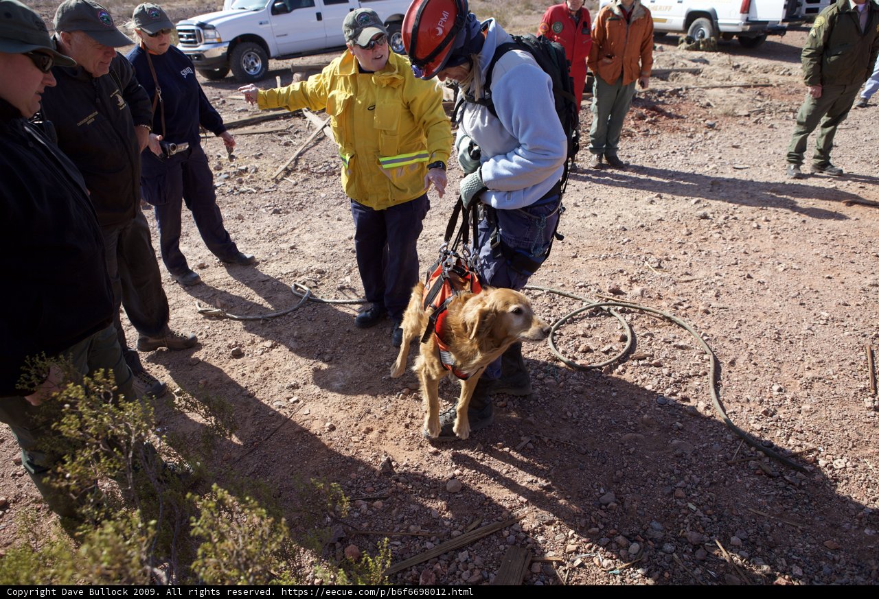 Man's Best Friend on a Rescue Mission