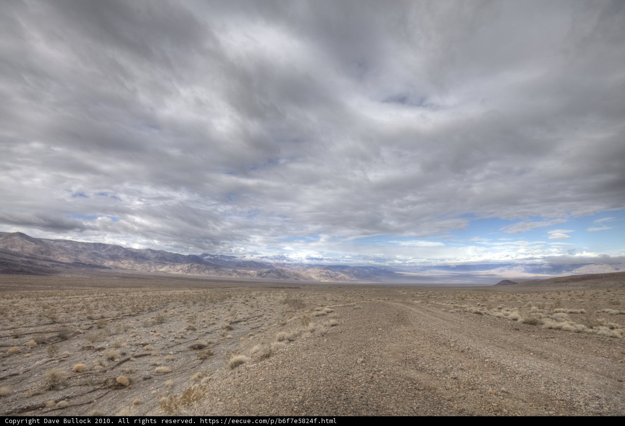 Endless Adventure in the Desert
