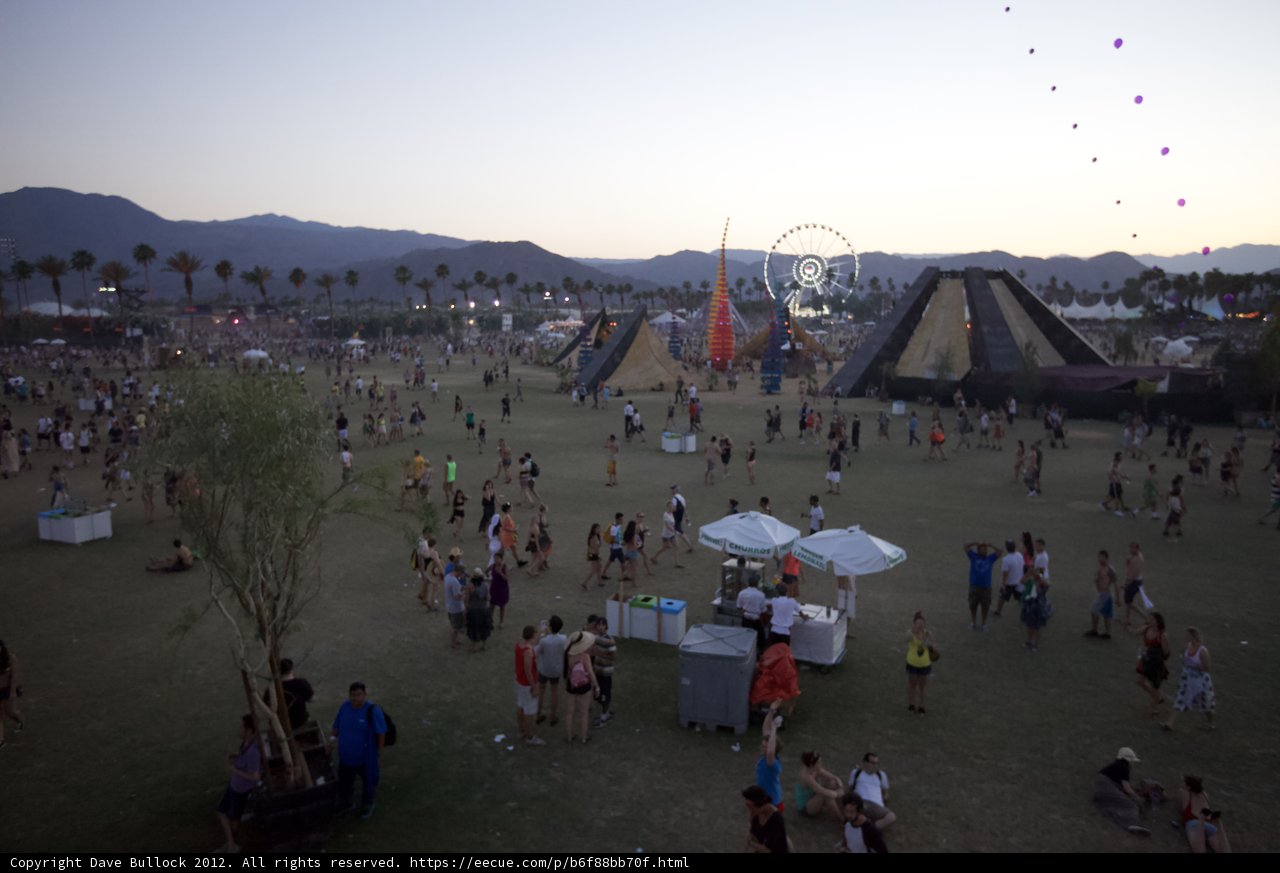 Desert Festivities