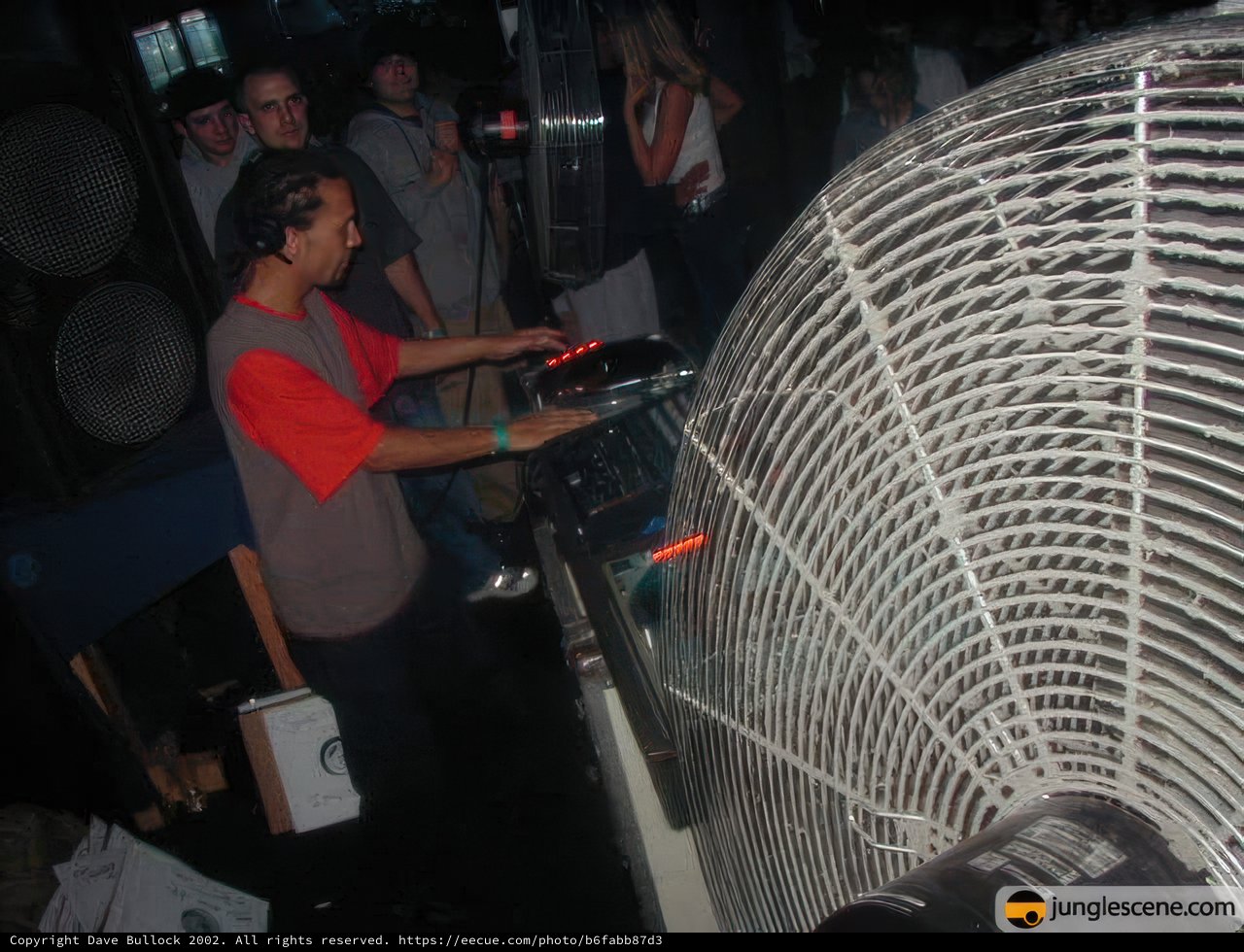 DJ in Action