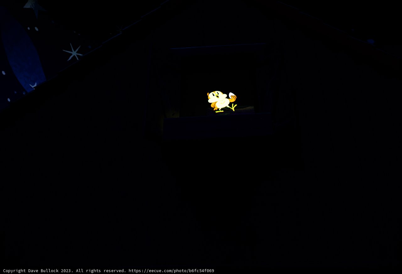 A Glimmer of Magic in the Night