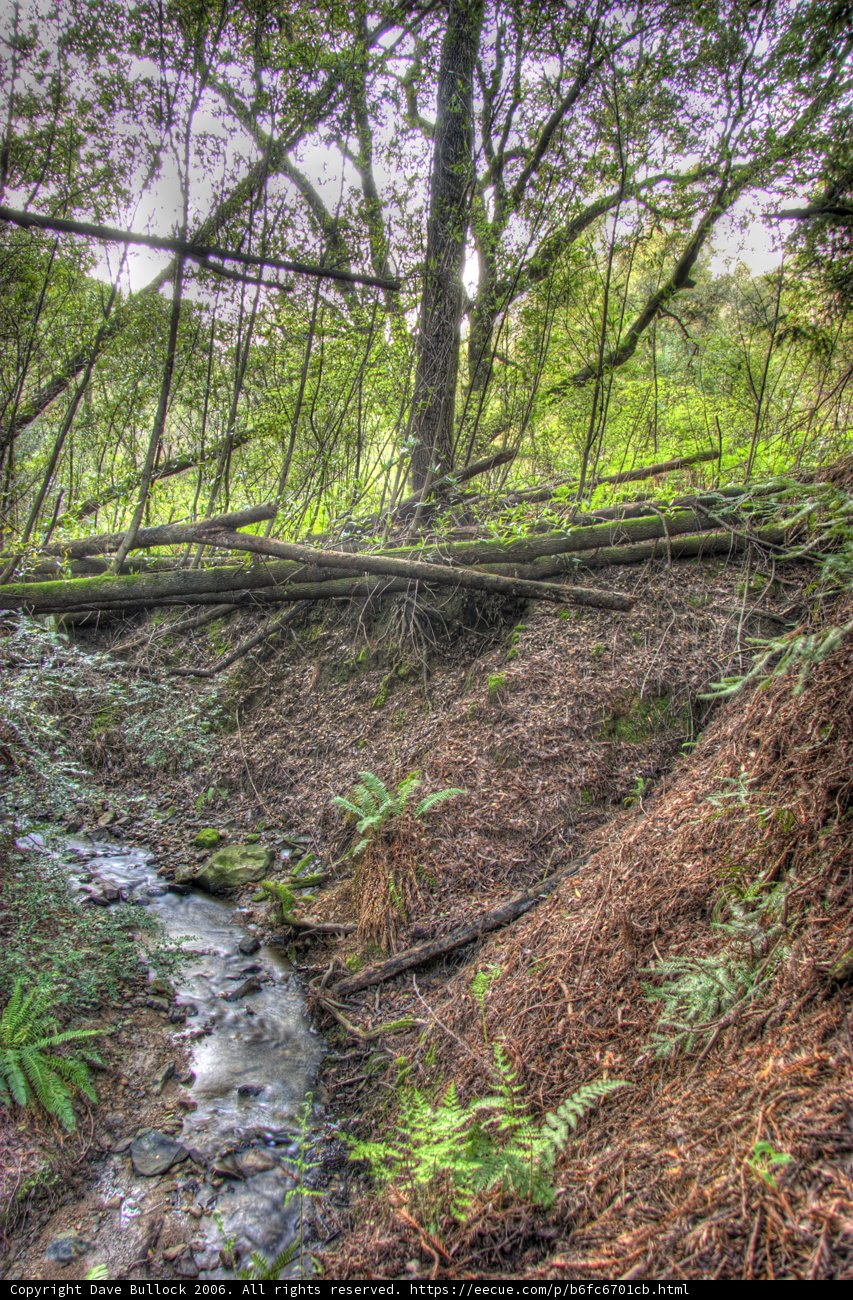 Serenity Creek