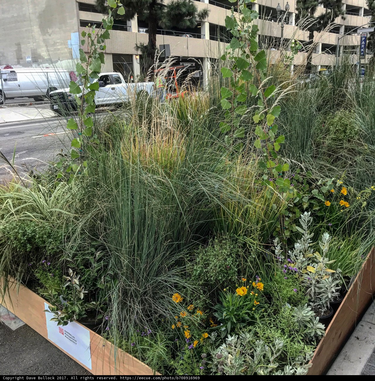 Urban Gardening in Los Angeles