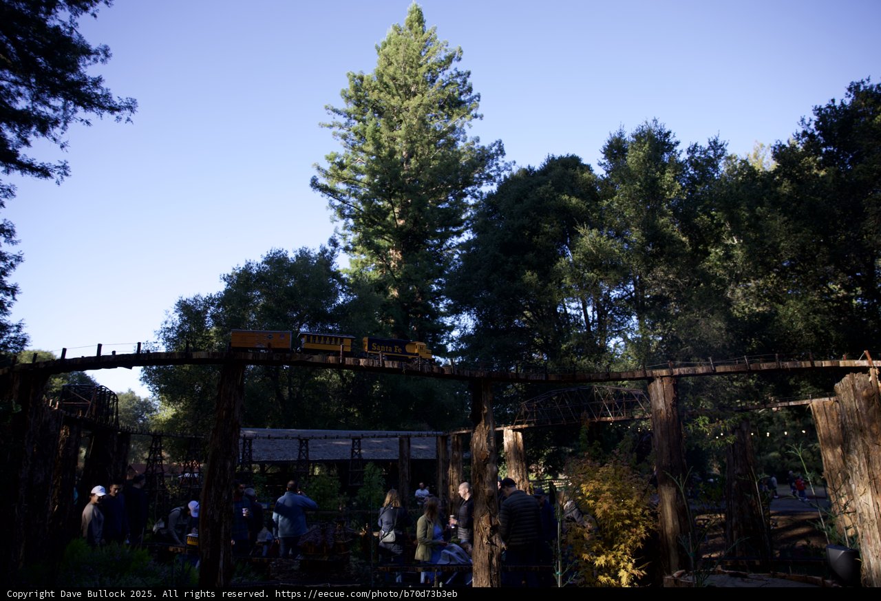 Enchanted Gathering at Filoli