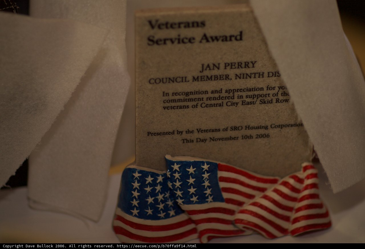 Jan Ferrier Receives Veterans Service Award