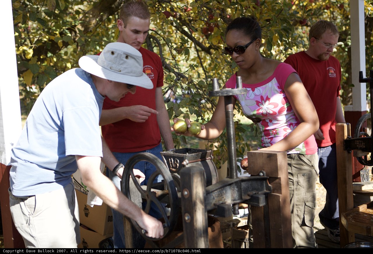 Working on the Apple Sorting Machine