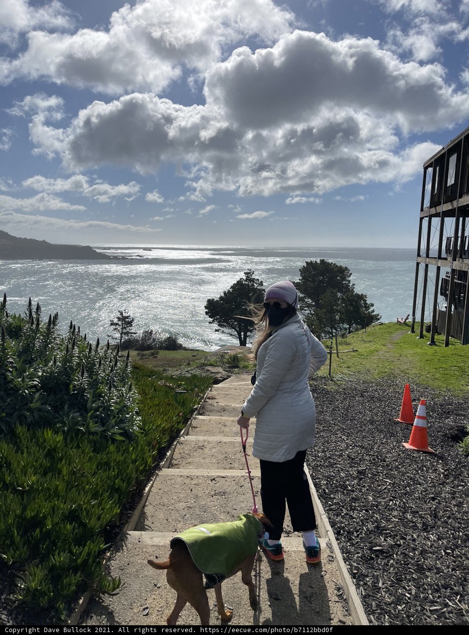 Walking by the Shoreline with My Furry Friend