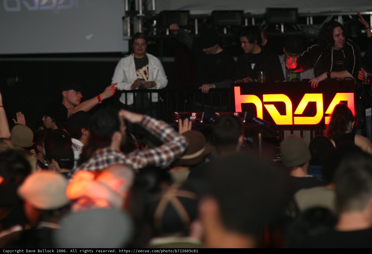 Clubbers Dance the Night Away at DJ Concert