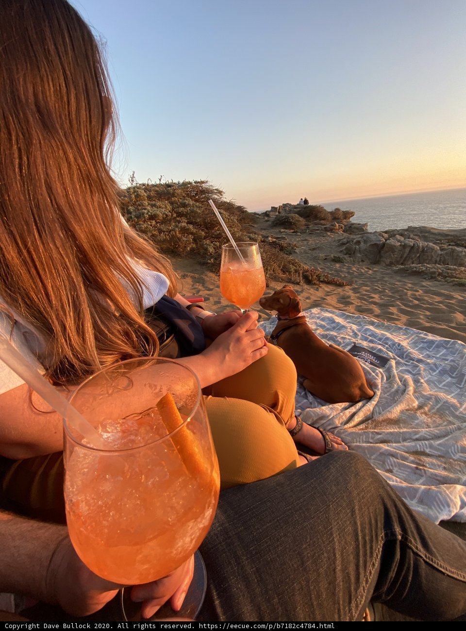 Beachside Romance