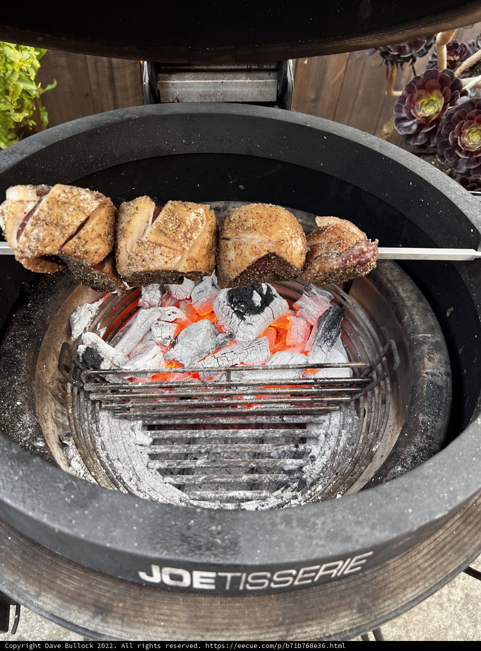 Sizzling BBQ Skewers