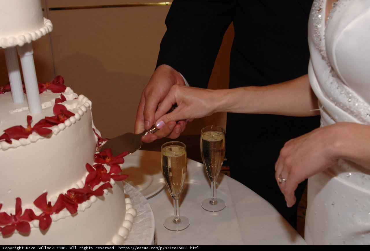Cutting the Wedding Cake