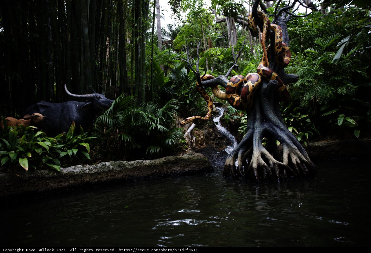 Mysterious Jungle Pond Encounter