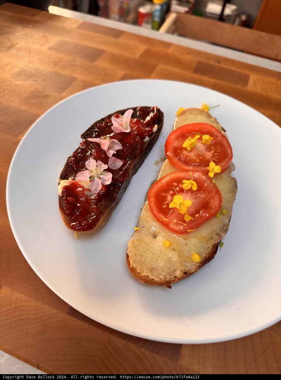 Tempting Duo: Bruschetta and Meat Loaf on a Plate