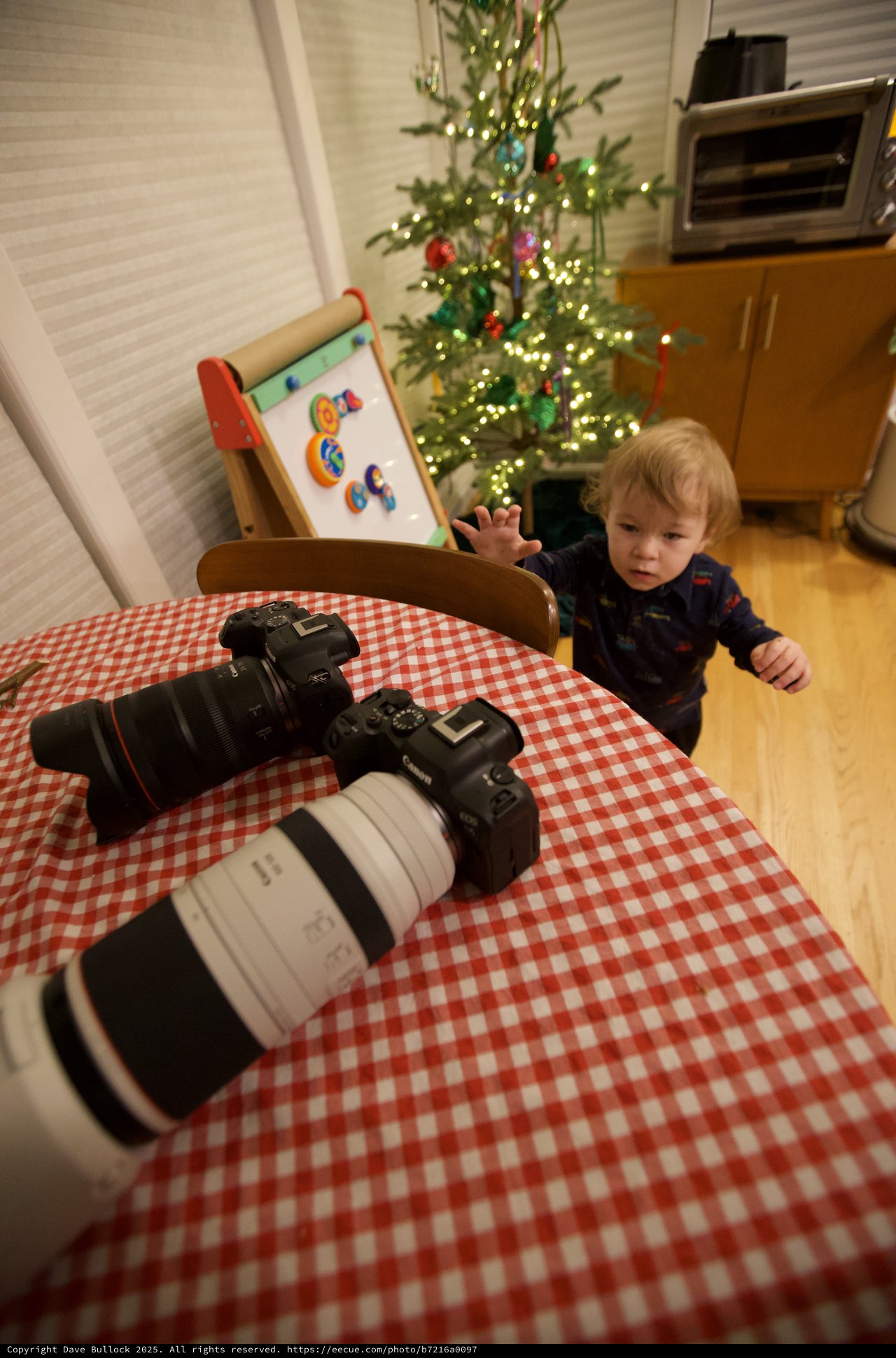 Young Child Reaching for Professional Camera Equipment at Christmas