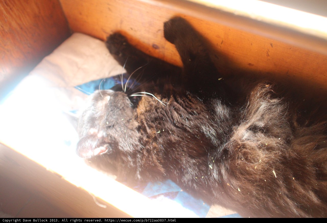 Resting on the Drawer
