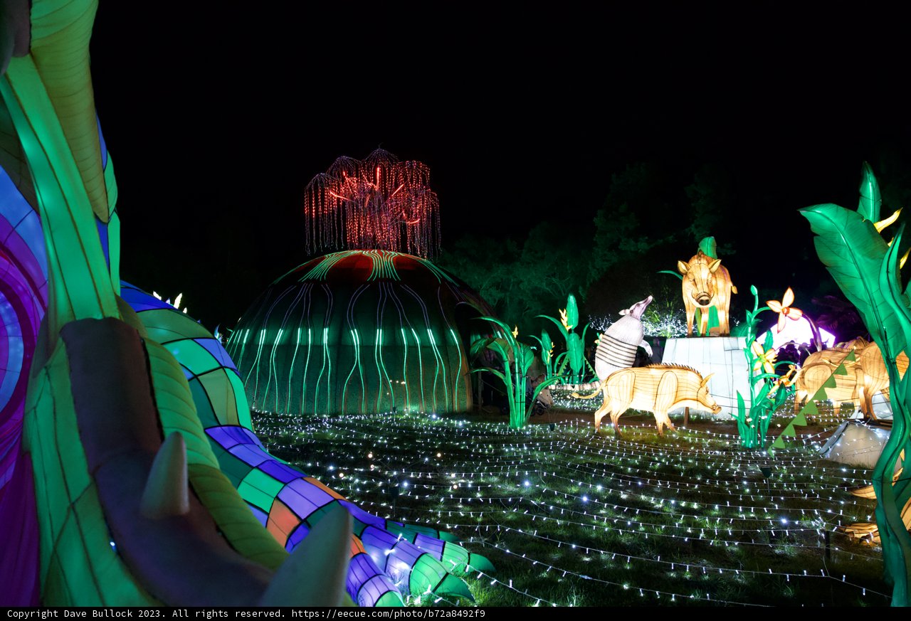 Night Wonders at Glowfari Oakland Zoo (2023)