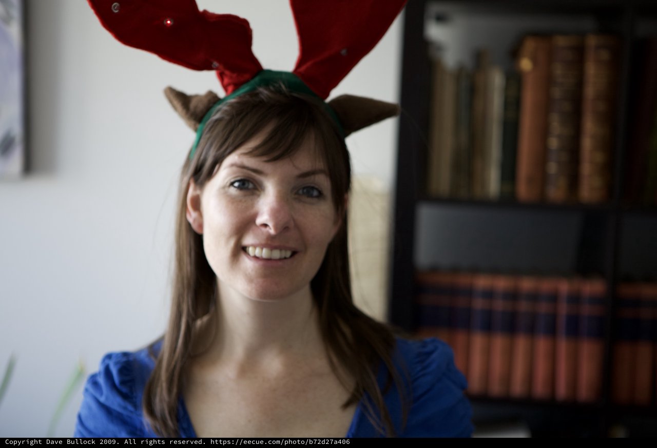 Festive Reindeer Antlers on Christmas Day 2009