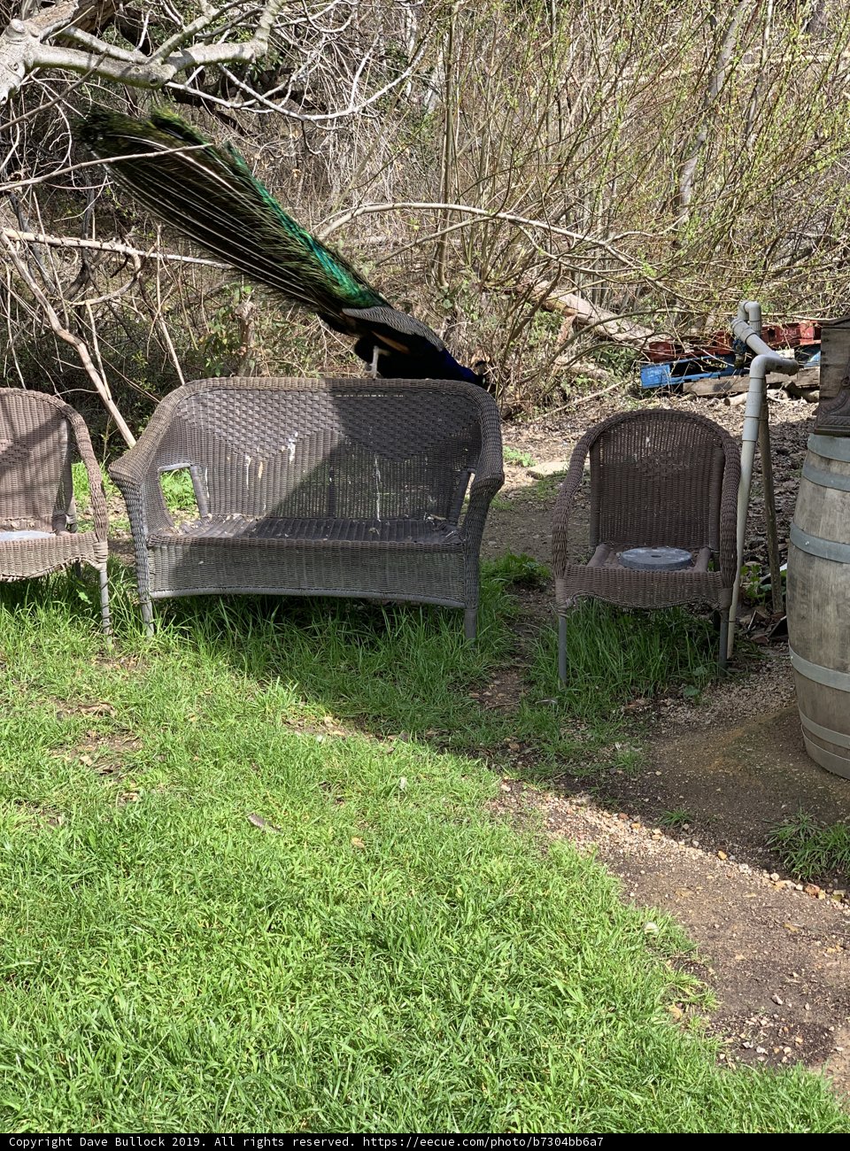 Relaxing on the Bench