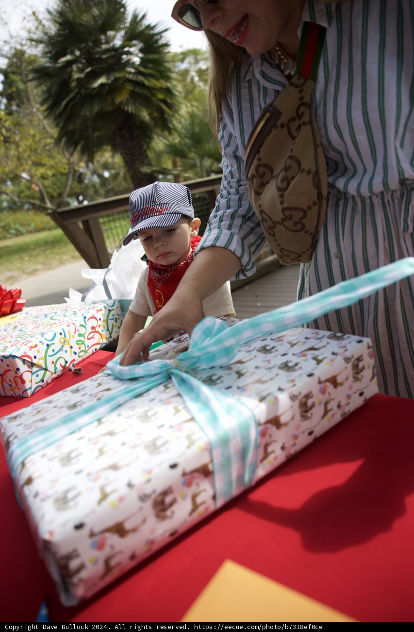 Wesley's Second Birthday Bash