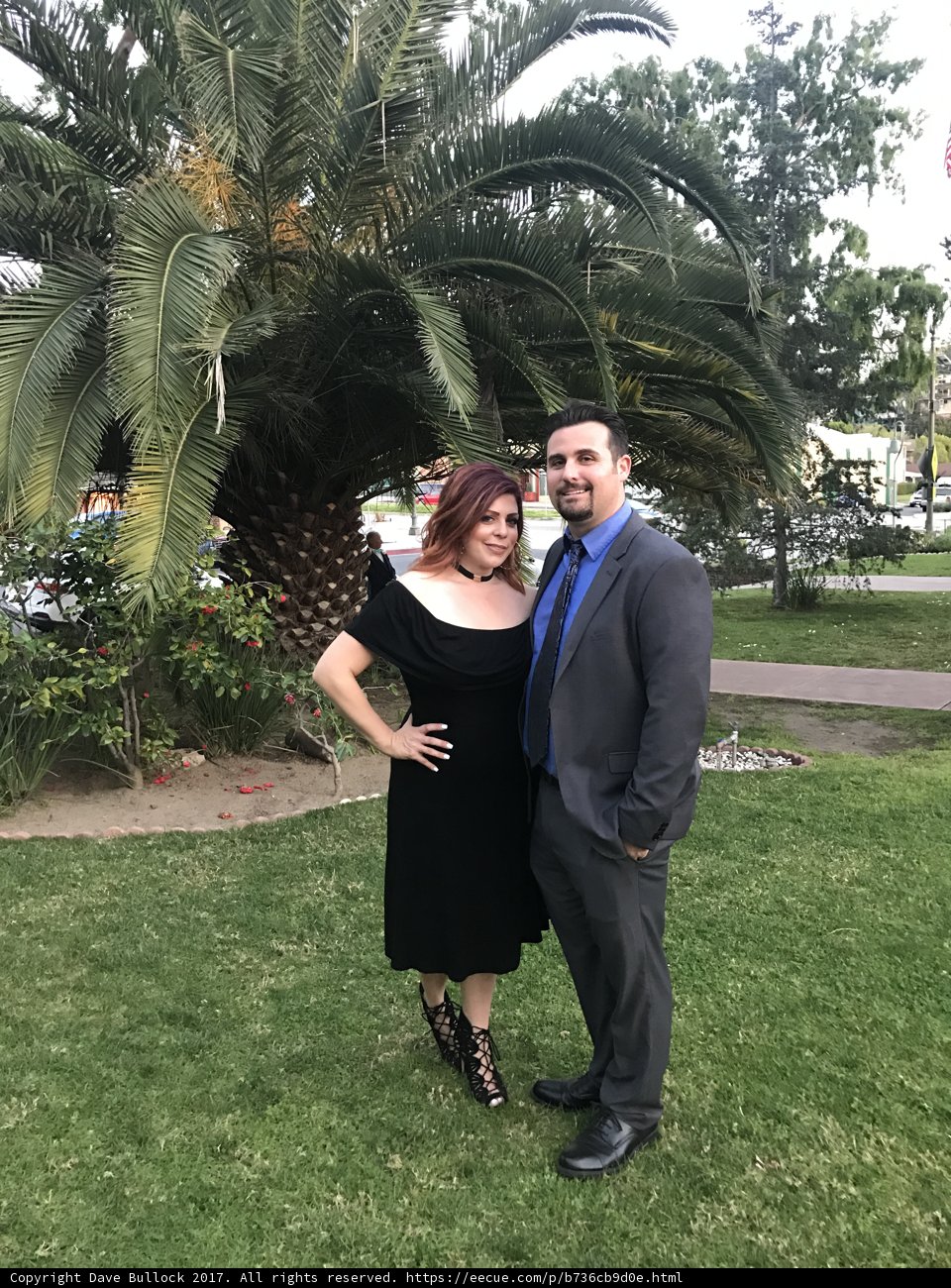 Formal Attire Amongst the Palms
