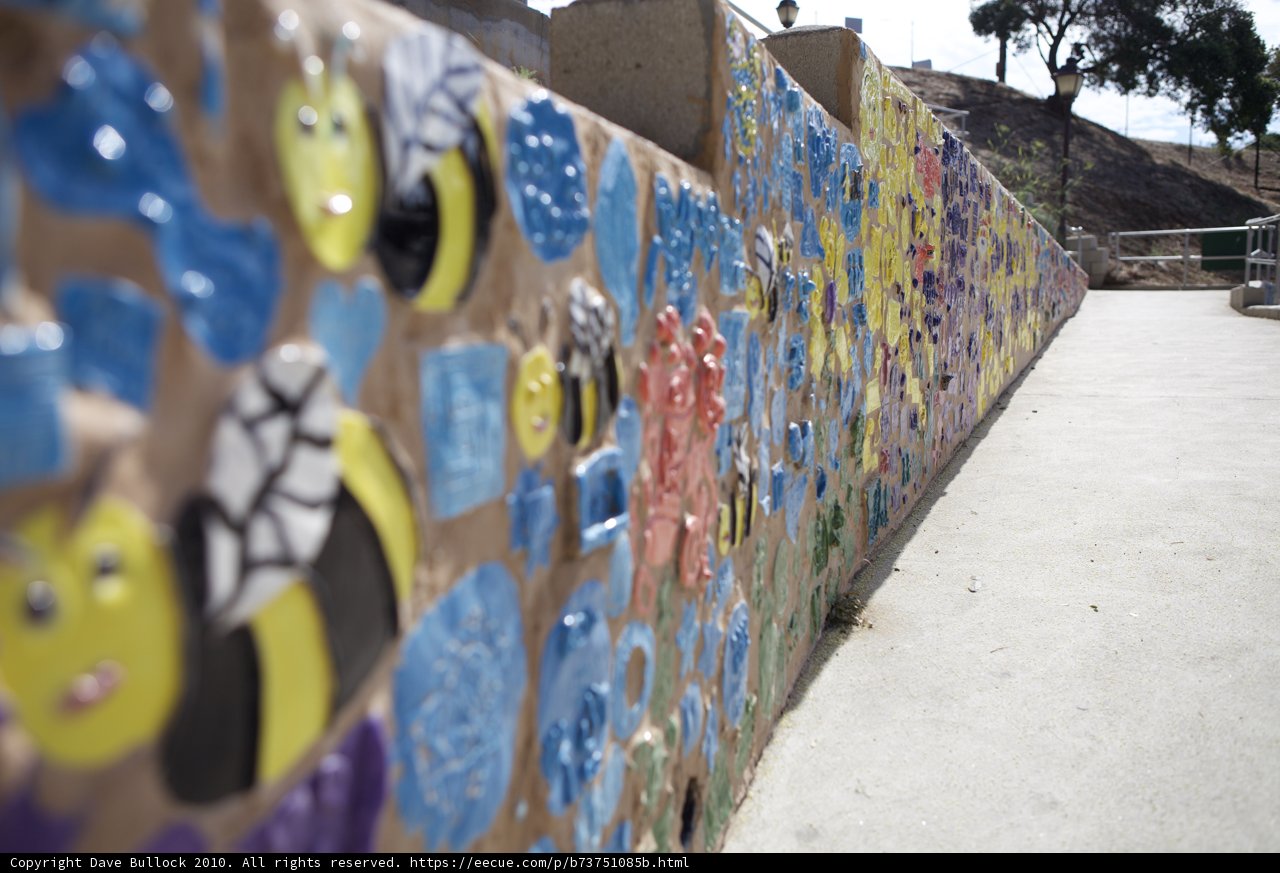 A Colorful Wall of Expression