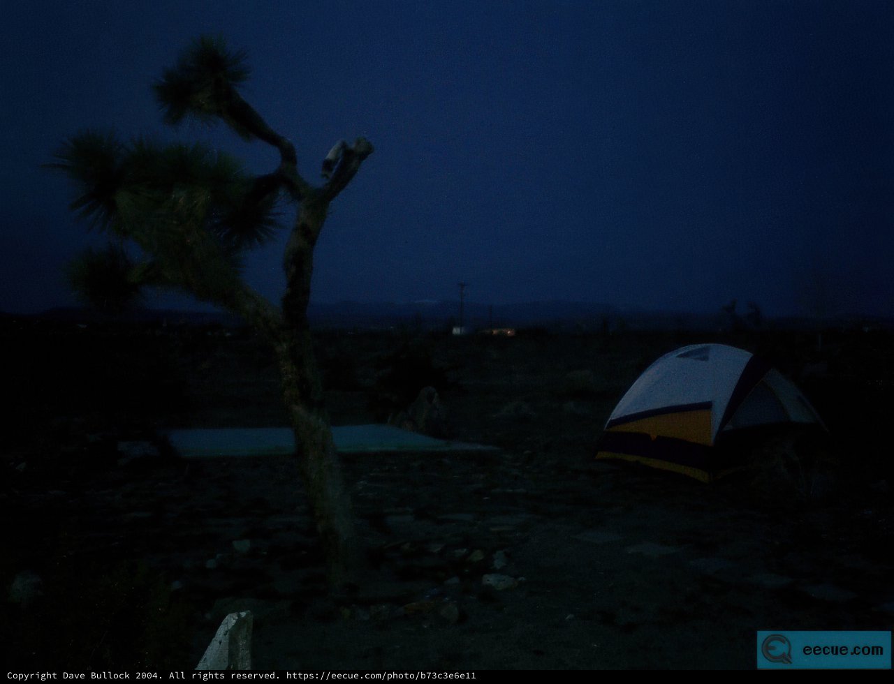 Desert Night Camping