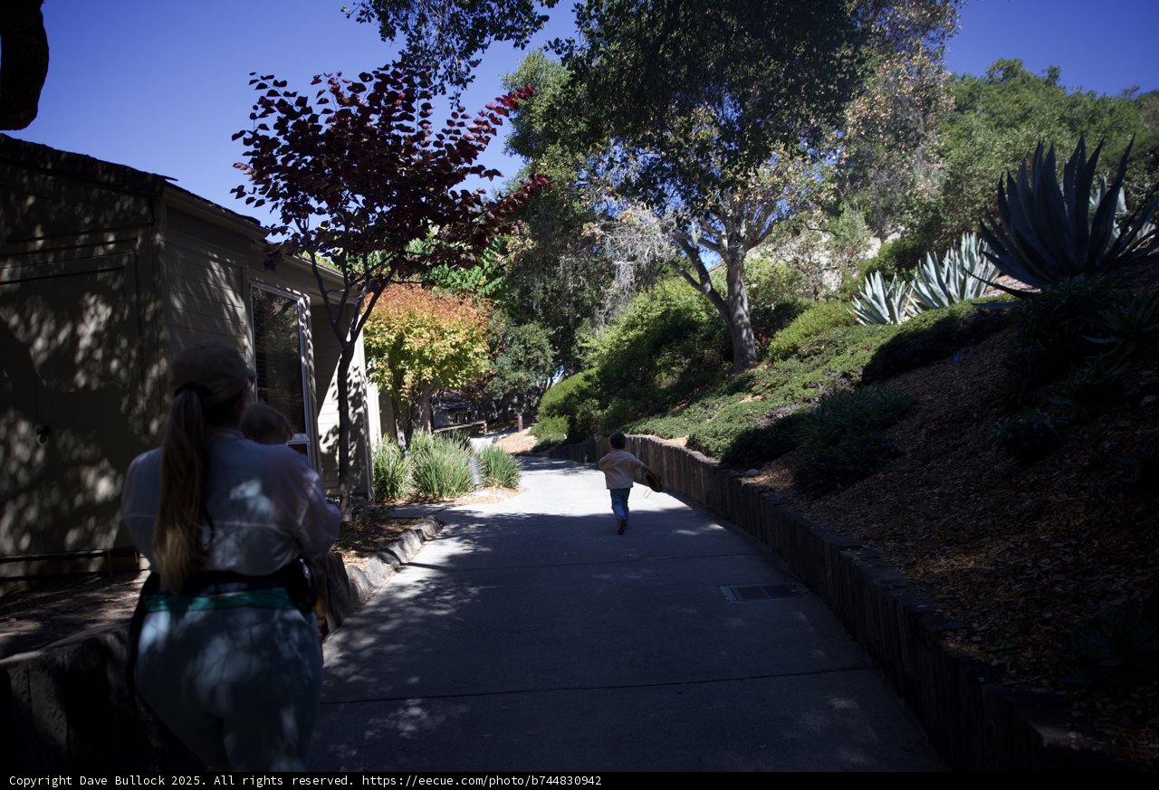 **Serene Stroll at Carmel Valley Ranch**