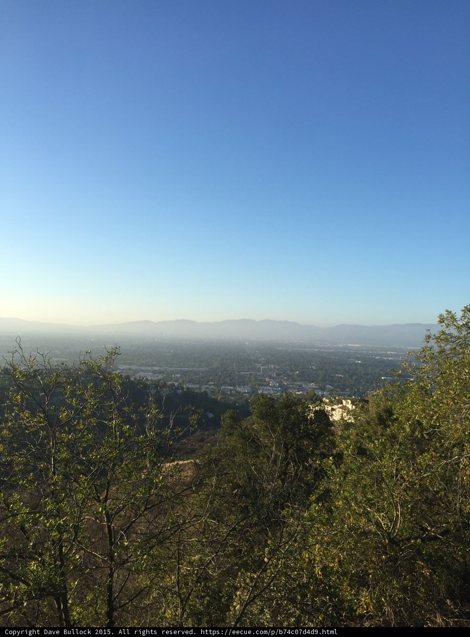 Valley View Through Oaks