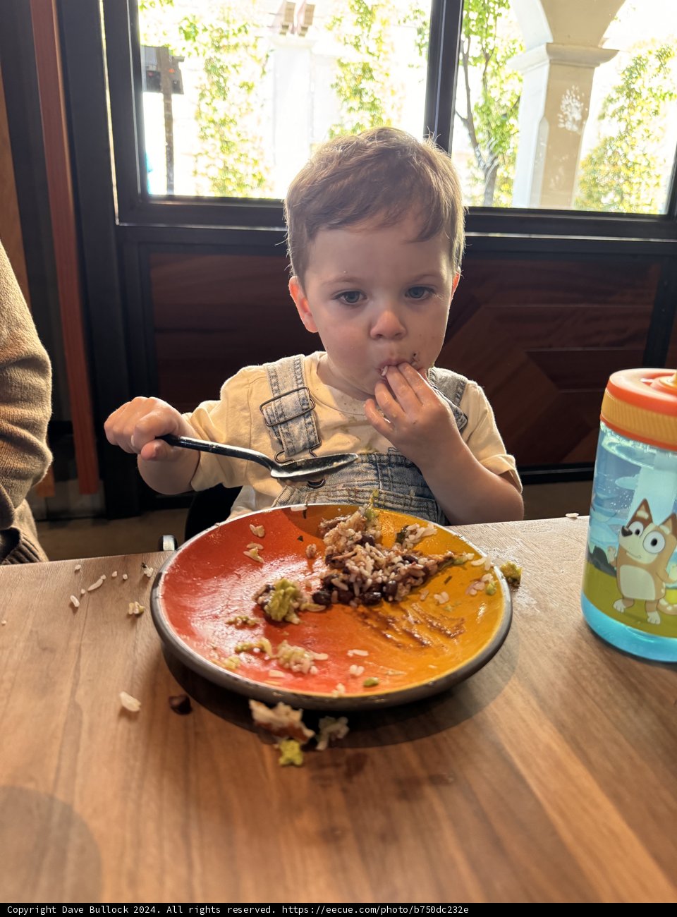 Little Lunch Explorer