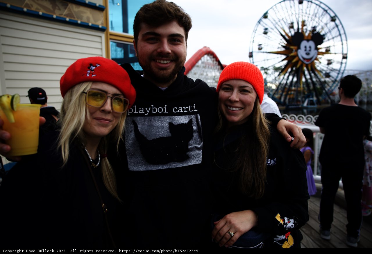 Ferris Wheel Fun with Friends