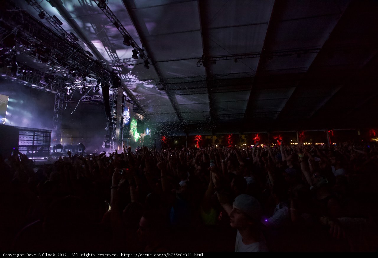 Electric Crowd at Coachella